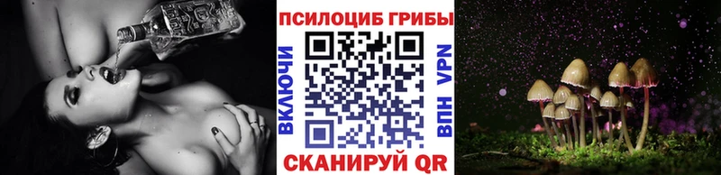 ссылка на мегу ссылка  Андреаполь  Псилоцибиновые грибы мухоморы 